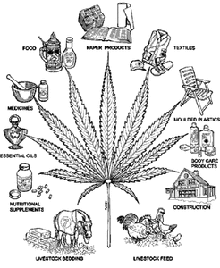 Usos Marihuana